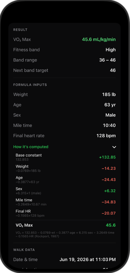 Wend VO₂ computation breakdown
